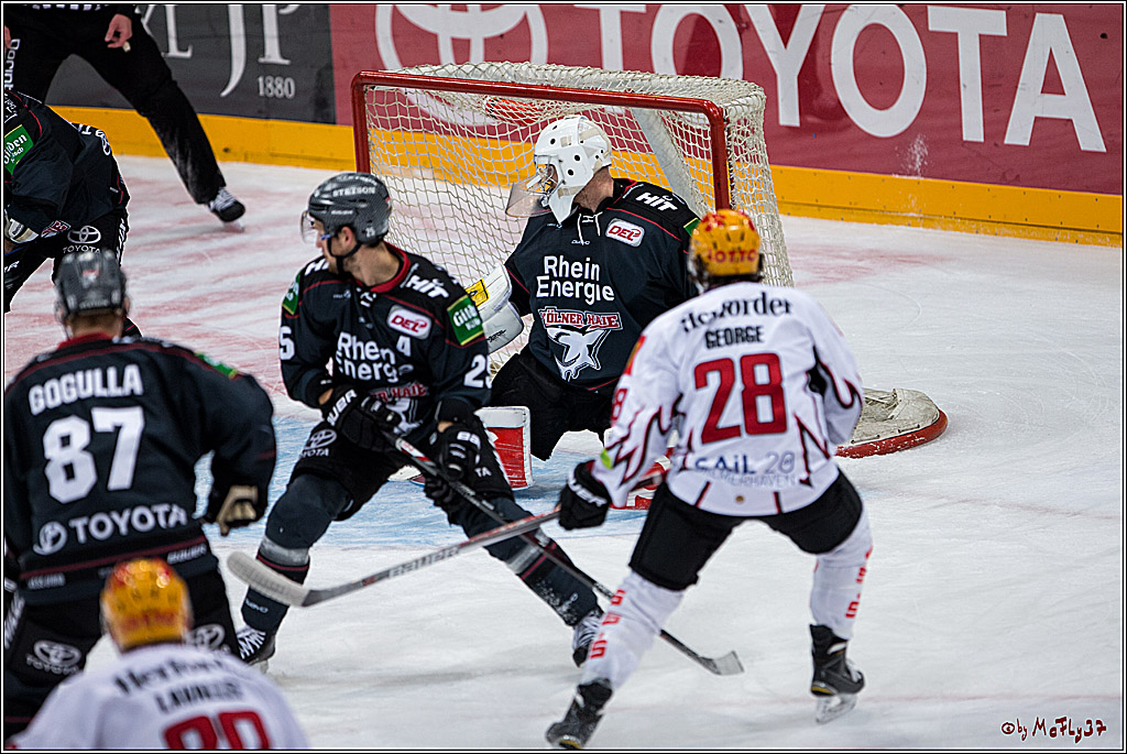 Koelner Haie - Pinguins Bremerhaven, 25.10.2016